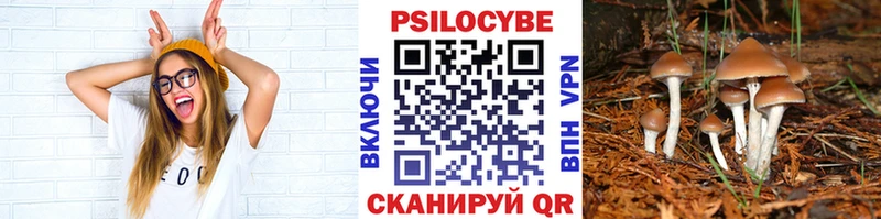 Галлюциногенные грибы прущие грибы  mega сайт  Лабытнанги 